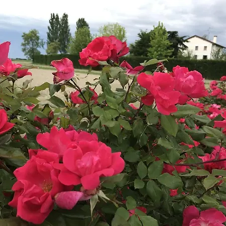 Orizzonte Отель типа 